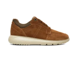 Homem Camport Sapatilhas^Sapatilha Sport-Pro Lace Castanho